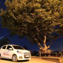 삼성지낚시터 이미지