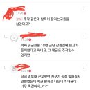 군대 발목 절단 사건 아는 사람 지뢰x 이미지