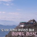 종가집4대 이미지