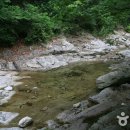 백운산토종꿀 이미지