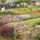 중앙공원 안 이미지