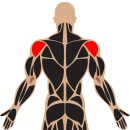 슬림한바디 시흥점 이미지