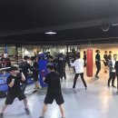 바디복싱짐 이미지