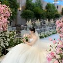 로얄화원 | [비밀의화원 스냅] 아이폰 본식 스냅 계약 후기(짝꿍 코드 구해요~)