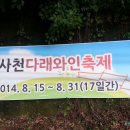 사천 다래와인 축제 (140816) 이미지