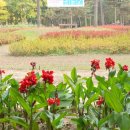 양재근린공원 이미지