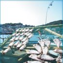 친절한김약국 이미지