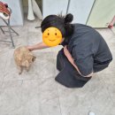마이티그루밍 이미지