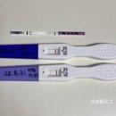 강동드림산부인과의원 이미지