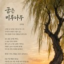 굽은 미루나무 이미지