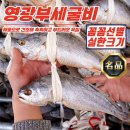 영광 이미지