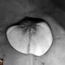 비바동물병원 이미지