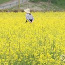 낙동강변 축구장 2 이미지