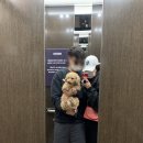 헤븐리파크2 이미지