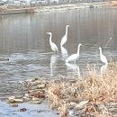 우상화로구이 - 강서구 강서로 349 | 우상화로구이