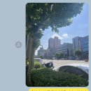 장보고순대국 이미지