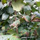 개암농장 이미지