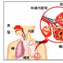 생명의 허파 운동은 산소 받아들이기! 이미지