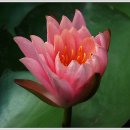 용산농장 이미지