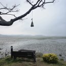 하늘별바다 펜션 | 전남 무안 감성 펜션 추천! 하늘별바다펜션 숙박(갯벌 체험·울트라어싱·인피니티풀)