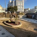 키코1983 이미지