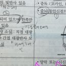 [2/3]_기본이론반_응급간호_이론서 2권 188p_동공 사정 이미지