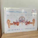 아빠와 함께 | 김포보청기 잘하는곳 아빠와 함께 다녀온 후기