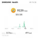 비움&해독