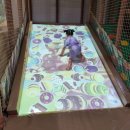 키즈마루 증평점 이미지