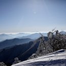 능선길 118 이미지