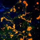 아크릴화[야간] 이미지