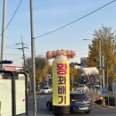 덕양구 꽈배기 맛집 해미읍성꽈배기 내돈내산 후기