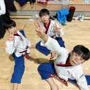 한국체대 숨 태권도장 네이버블로그