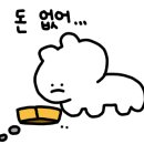 백초밥 이미지