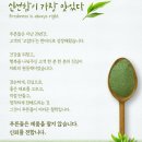 홈베이킹(목) | [리얼후기] 제주산 느랑풀 말차 분말 150g – 홈카페용 프리미엄 가루녹차 추천!