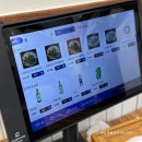 중앙카라이프 | 원주 데이트 코스 추천｜맛집 까치둥지부터 출렁다리까지 당일치기 여행