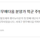 봄봄피아노교습소 이미지