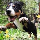 플로우짐 이미지