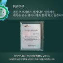 청년폰 네이버블로그