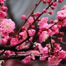 아침의 향기 이미지