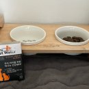 애니펫 | 🐶 애니펫워터 급여 후기 “체내 냄새 케어는 물부터 시작!”