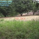 경기도 양평군 수입초등학교 이미지