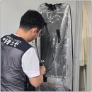 버블크린 이미지