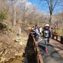 봉의초병설유치원 이미지