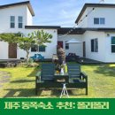 제주폴리폴리 | [제주] 제주 동쪽숙소 추천: 제주폴리폴리