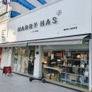 모던성형외과의원 이미지