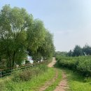 왕송호수공원 레일바이크 매표소 | [내돈내산] 의왕 왕송호수공원 레일바이크 후기