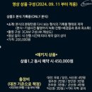 3917 | 대전 본식 스냅,DVD 총정리 : 14개 업체 비교