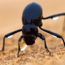 성림초등학교 이미지