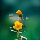 대명수산 이미지